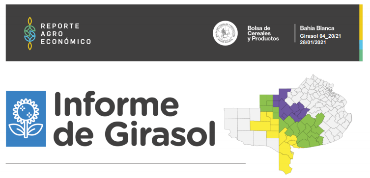 RAE de Girasol | Reporte Agroeconmico de Enero | 2021