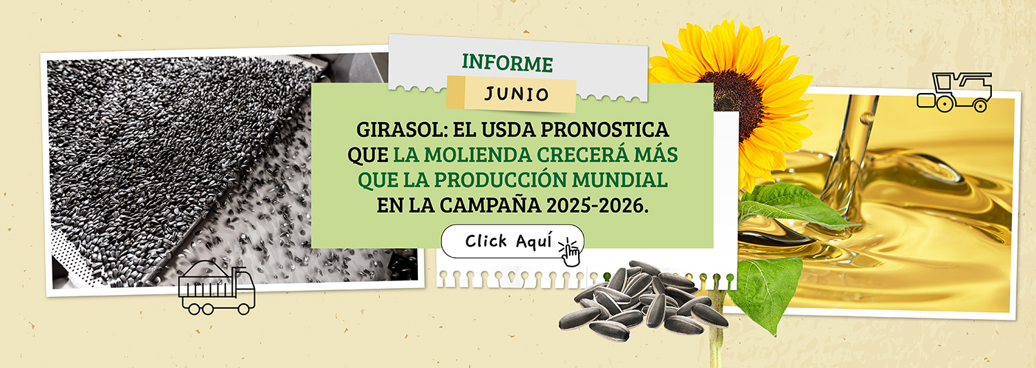 Girasol hoy al 12/06/2025 por el Lic Jorge Ingaramo